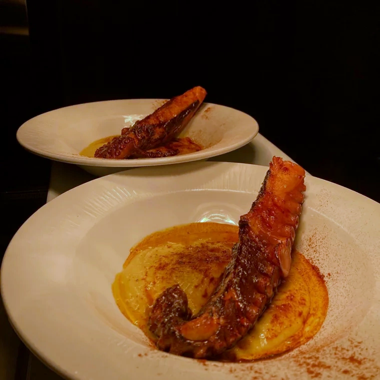 Pulpo M´ediq